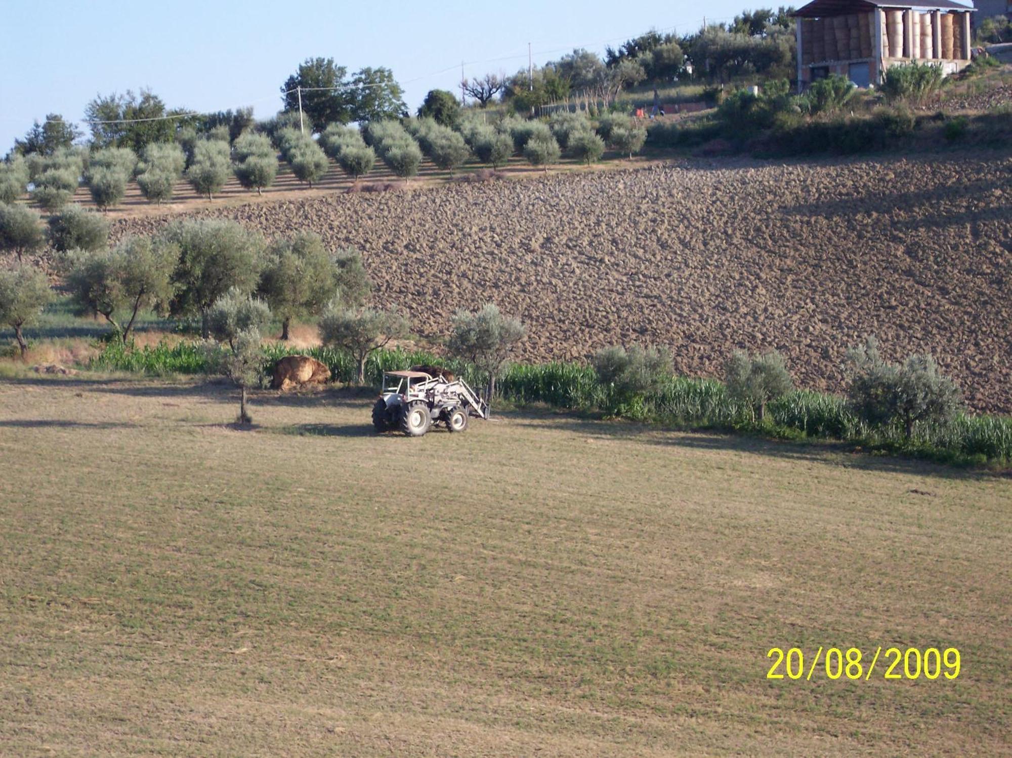 Agriturismo Il Vecchio Carro Campli Kültér fotó
